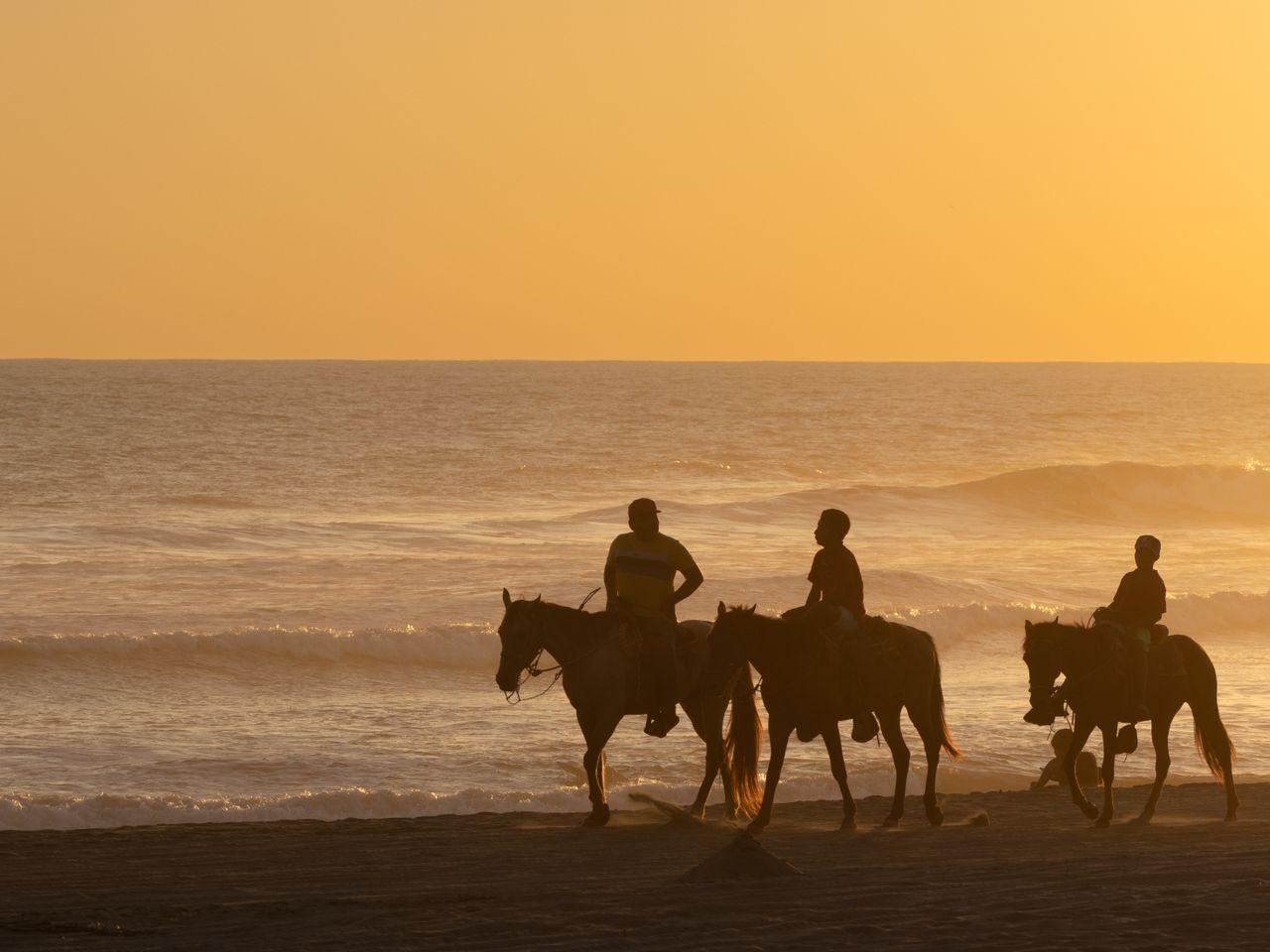 Horseback Riding Trail