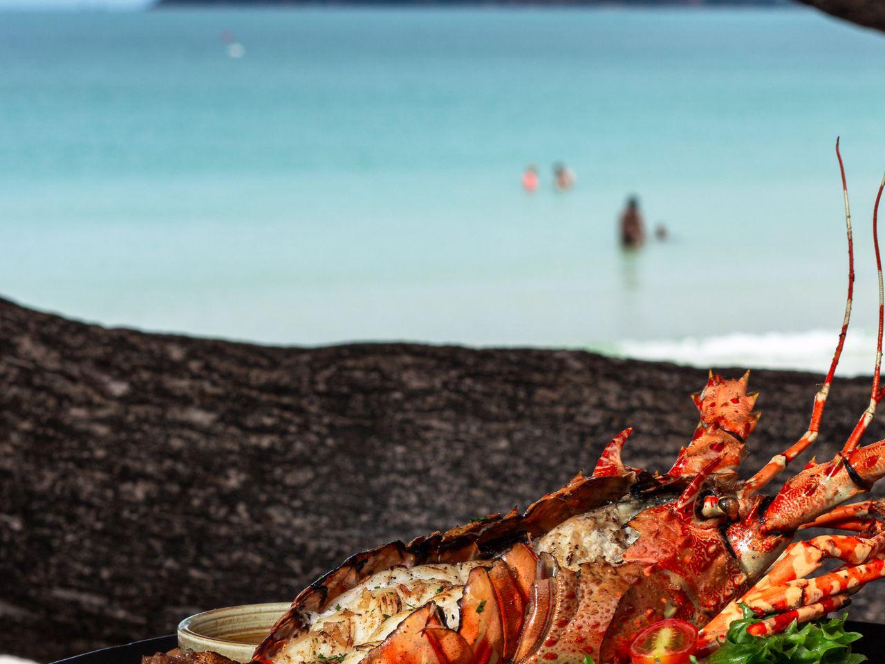 Seafood dinner plus the glowing lagoon boat tour at Glistening Waters Restaurant & Marina