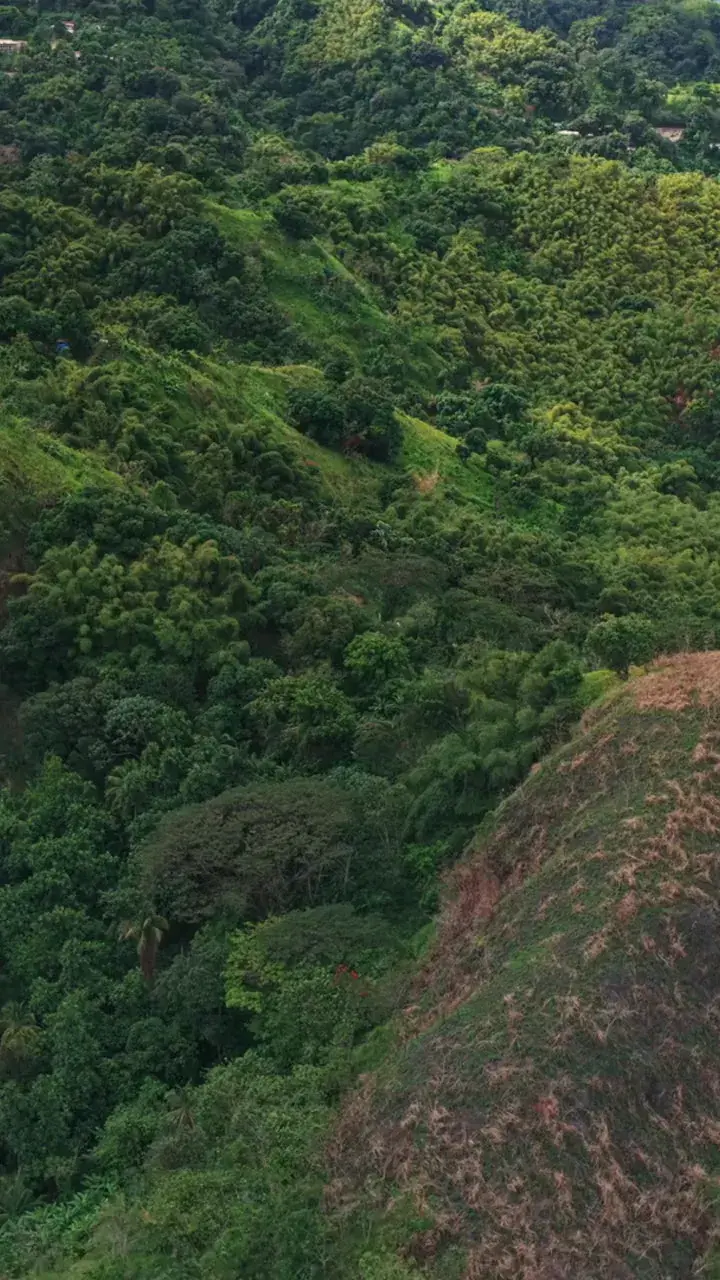 Bob Marley Nine Mile Pilgrimage