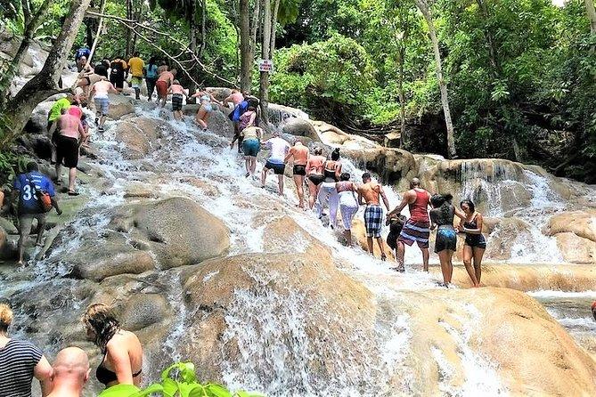 Dunn's River Falls Tour: The Honest Guide