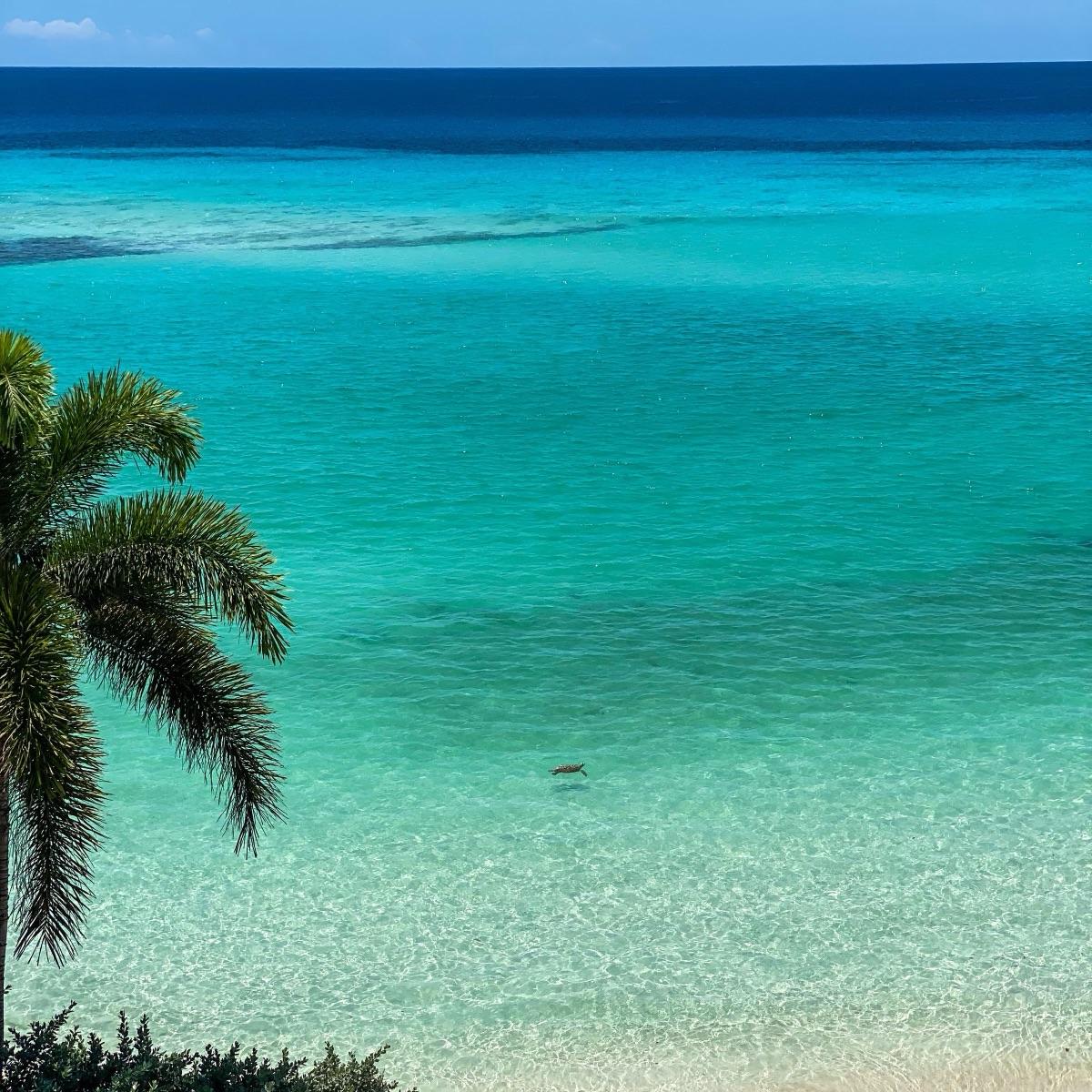 Montego Bay